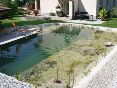 Schwimmteich Naturpool Bio-Pool Gartenzauner Wasser