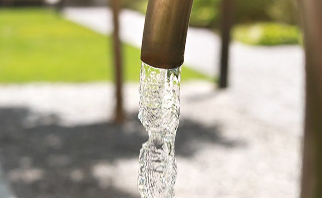Wasser sparen im Garten - GartenZauner